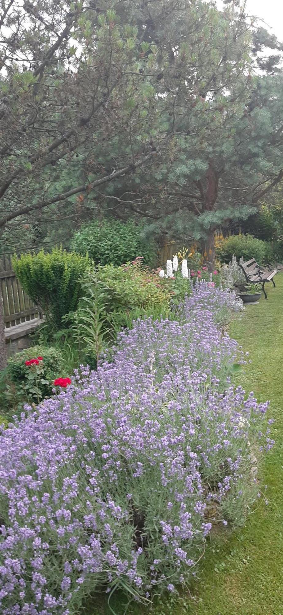 Bed and Breakfast Lily Garden Mizerna Zewnętrze zdjęcie