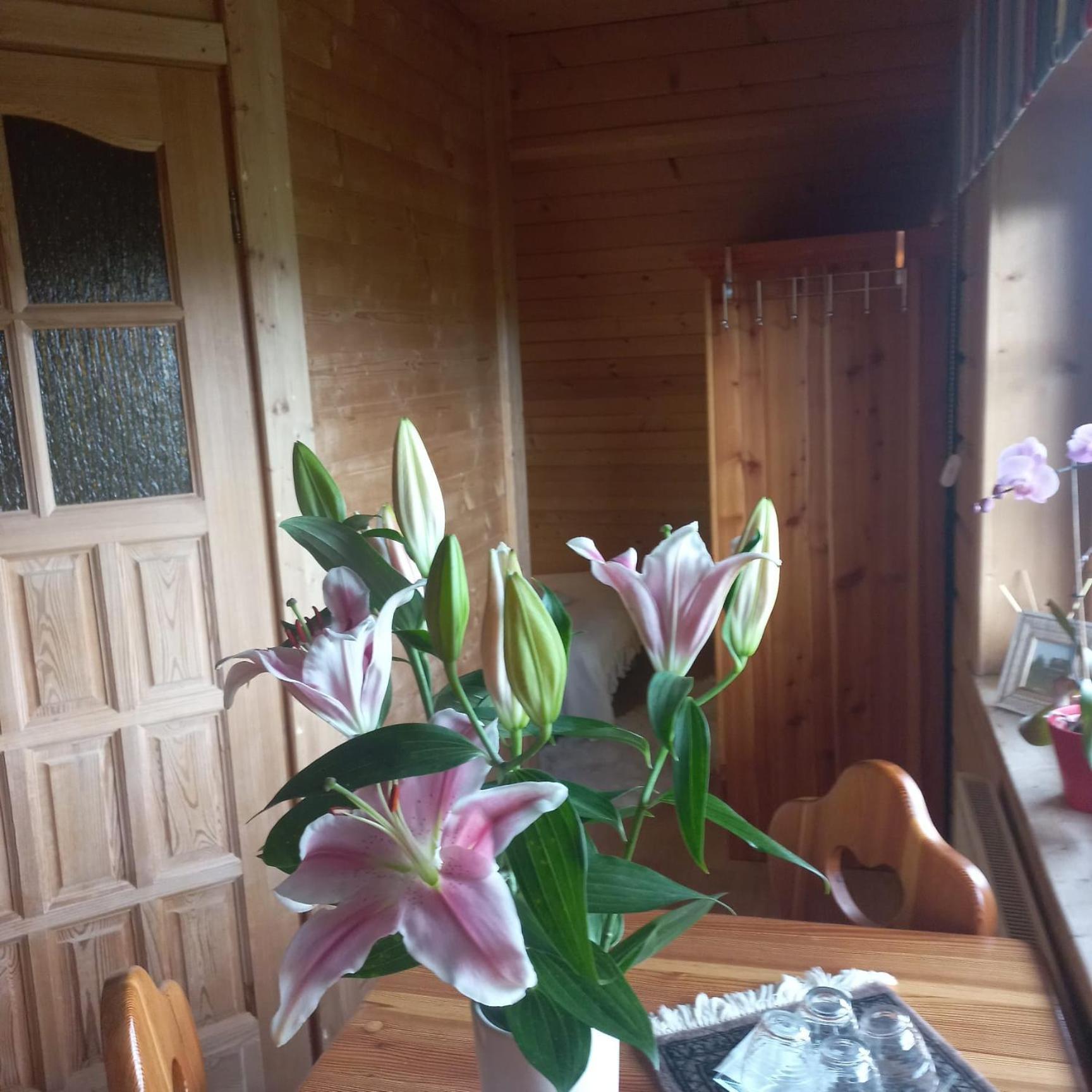 Bed and Breakfast Lily Garden Mizerna Zewnętrze zdjęcie